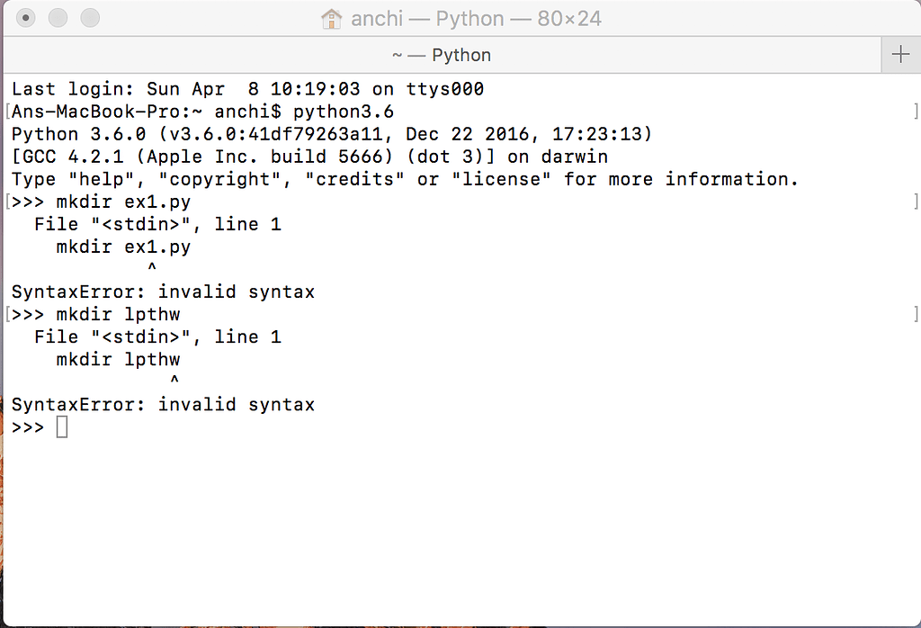 run python program from terminal